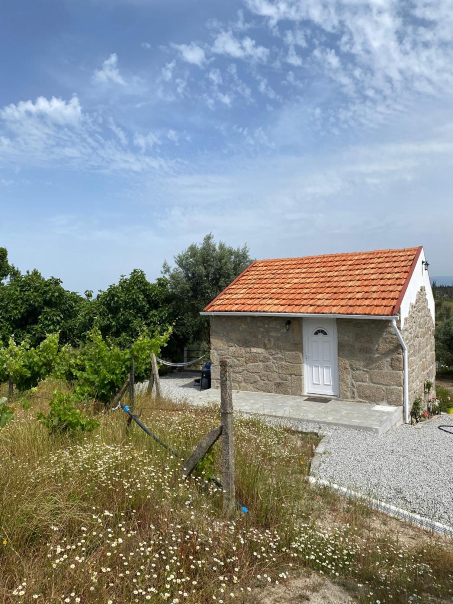 הוילה נלאס Casa De Pedra Em Vinha No Dao מראה חיצוני תמונה