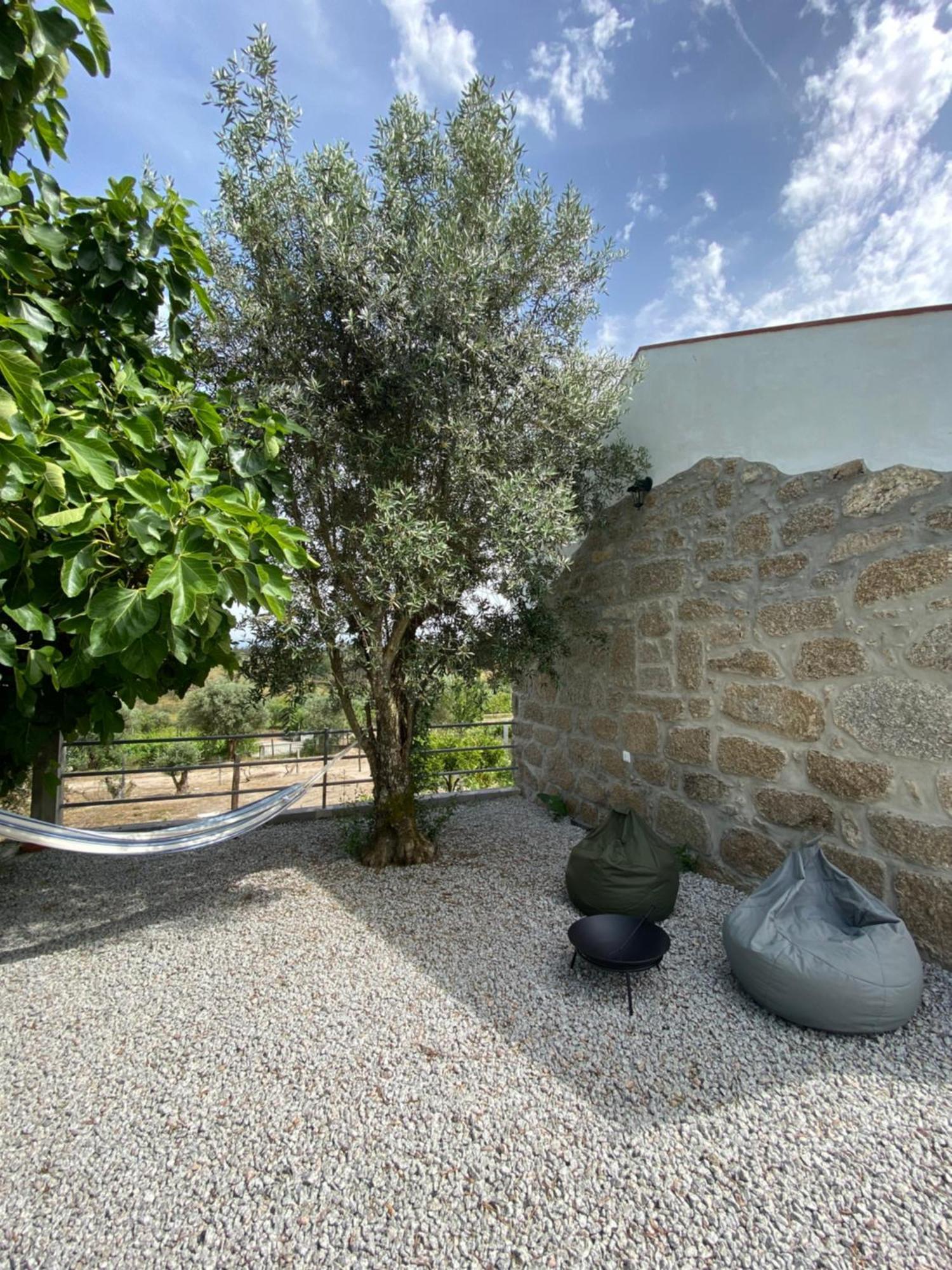 הוילה נלאס Casa De Pedra Em Vinha No Dao מראה חיצוני תמונה